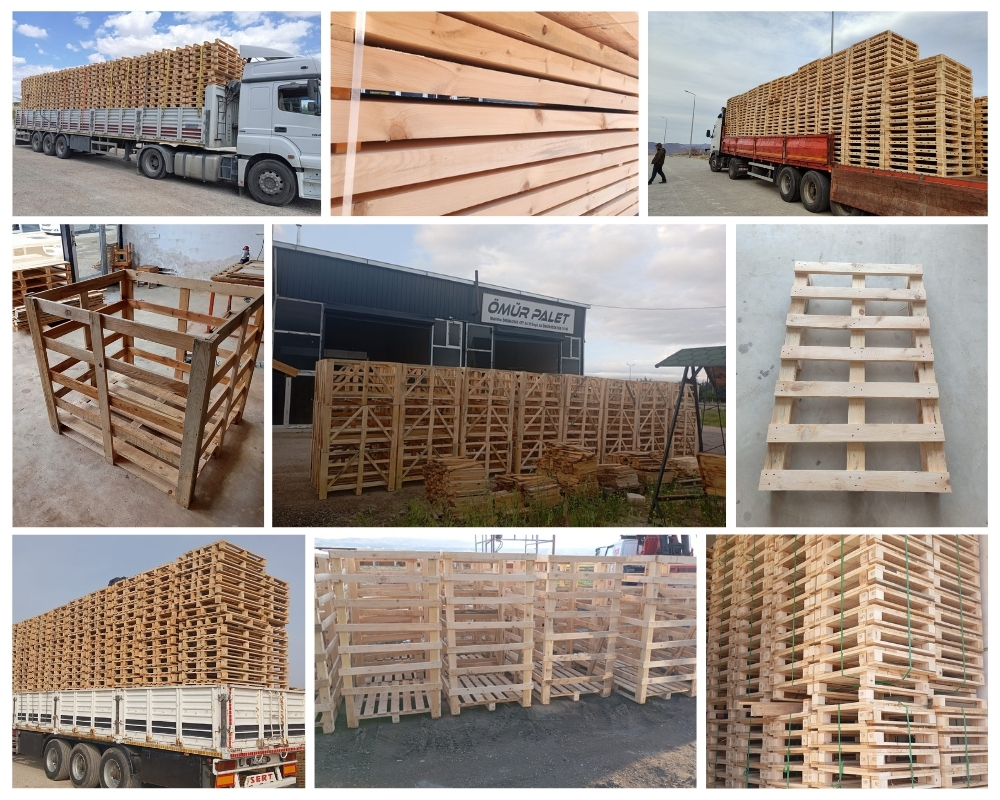 Aci Catena Palette Europe, Acheter des palettes en gros